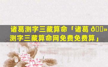 诸葛测字三藏算命「诸葛 🌻 测字三藏算命网免费免费算」